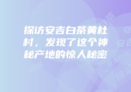 探访安吉白茶黄杜村，发现了这个神秘产地的惊人秘密