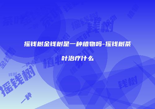 摇钱树金钱树是一种植物吗-摇钱树茶叶治疗什么