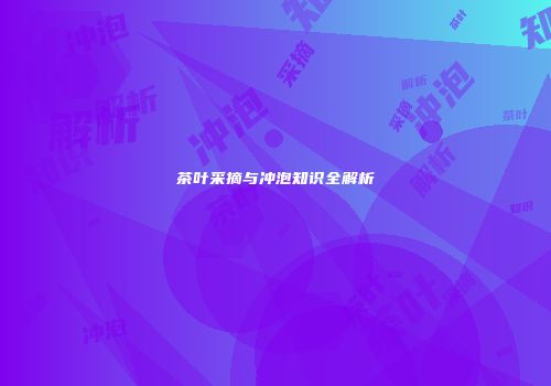 茶叶采摘与冲泡知识全解析