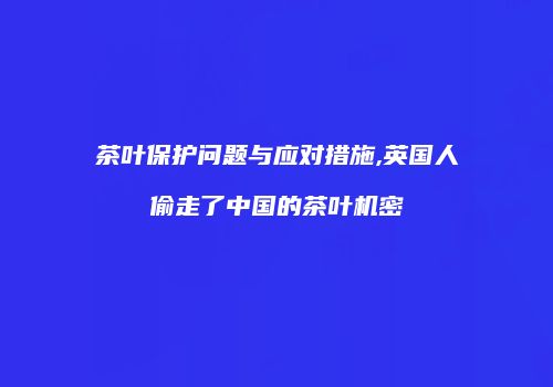 茶叶保护问题与应对措施,英国人偷走了中国的茶叶机密