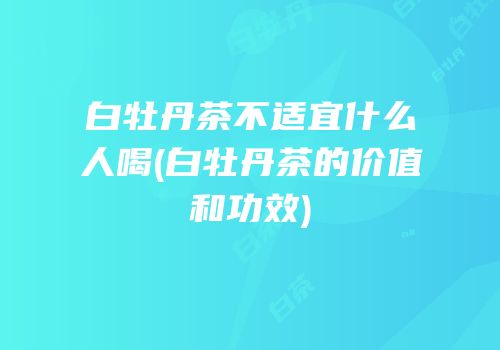 白牡丹茶不适宜什么人喝(白牡丹茶的价值和功效)