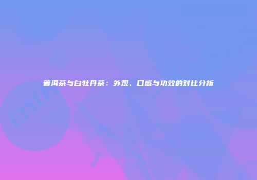 普洱茶与白牡丹茶：外观、口感与功效的对比分析