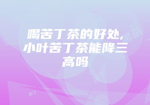 喝苦丁茶的好处,小叶苦丁茶能降三高吗