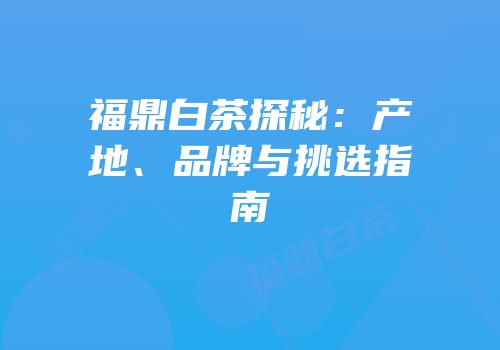 福鼎白茶探秘：产地、品牌与挑选指南