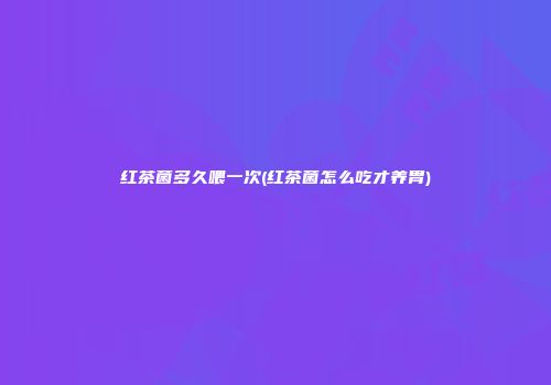 红茶菌多久喂一次(红茶菌怎么吃才养胃)