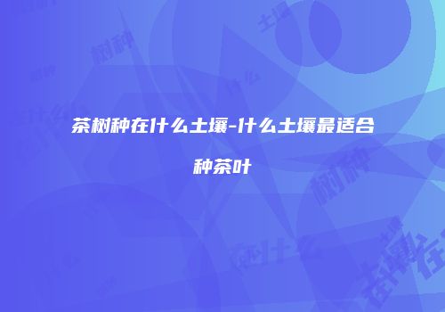 茶树种在什么土壤-什么土壤最适合种茶叶