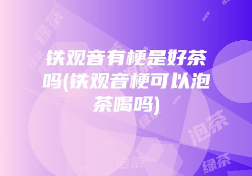 铁观音有梗是好茶吗(铁观音梗可以泡茶喝吗)
