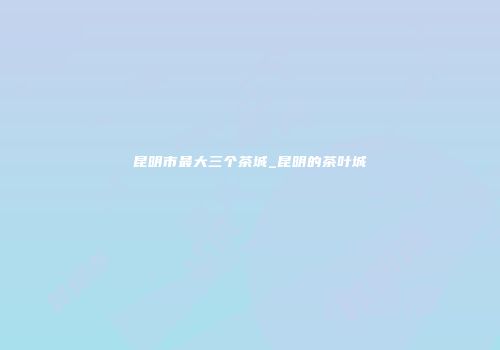 昆明市最大三个茶城_昆明的茶叶城