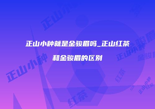 正山小种就是金骏眉吗_正山红茶和金骏眉的区别