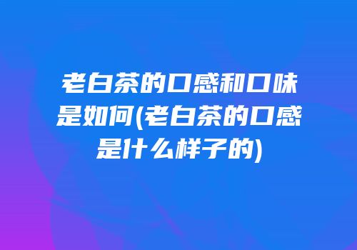 老白茶的口感和口味是如何(老白茶的口感是什么样子的)