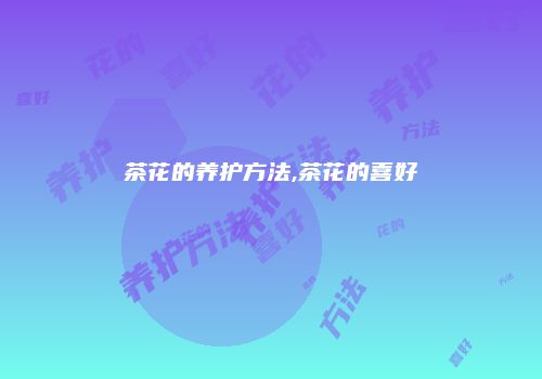 茶花的养护方法,茶花的喜好