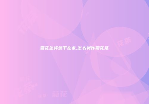 菊花怎样烘干在家,怎么制作菊花茶