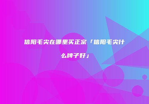 信阳毛尖在哪里买正宗「信阳毛尖什么牌子好」