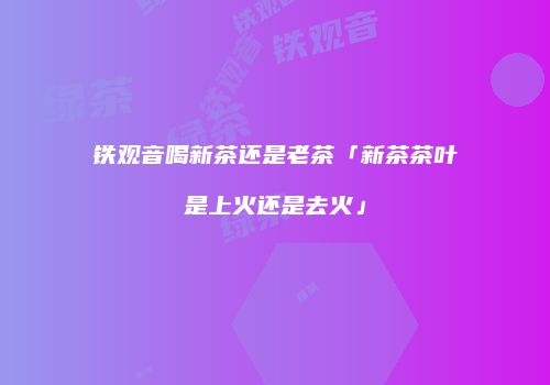 铁观音喝新茶还是老茶「新茶茶叶是上火还是去火」