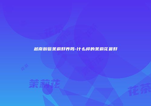 越南粉苞茉莉好养吗-什么样的茉莉花最好