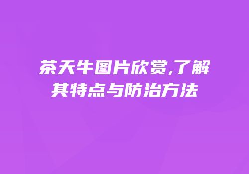 茶天牛图片欣赏,了解其特点与防治方法