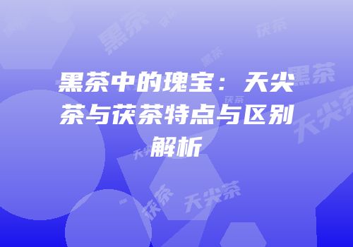 黑茶中的瑰宝：天尖茶与茯茶特点与区别解析