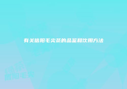 有关信阳毛尖茶的品鉴和饮用方法