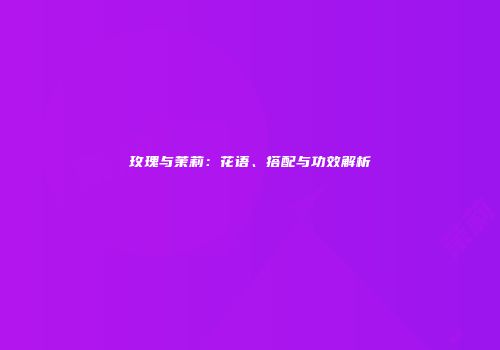 玫瑰与茉莉：花语、搭配与功效解析