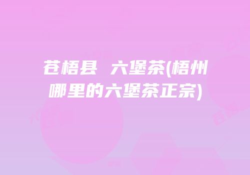 苍梧县 六堡茶(梧州哪里的六堡茶正宗)