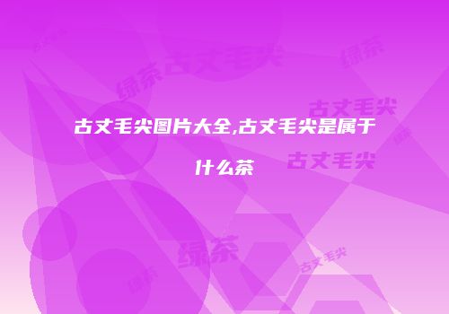 古丈毛尖图片大全,古丈毛尖是属于什么茶