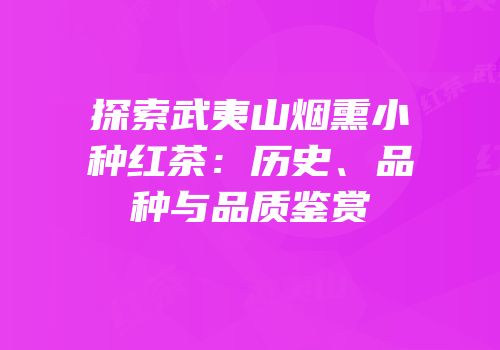 探索武夷山烟熏小种红茶：历史、品种与品质鉴赏