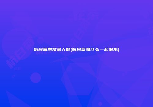 杭白菊的禁忌人群(杭白菊和什么一起泡水)