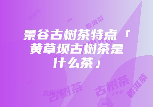 景谷古树茶特点「黄草坝古树茶是什么茶」