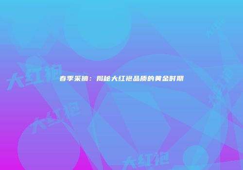 春季采摘：揭秘大红袍品质的黄金时期
