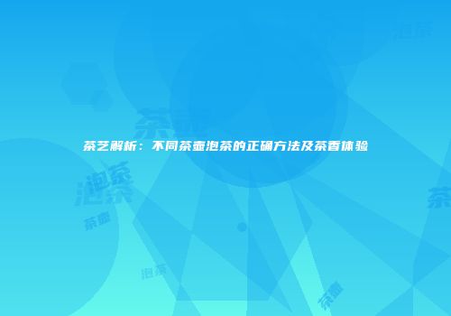 茶艺解析：不同茶壶泡茶的正确方法及茶香体验