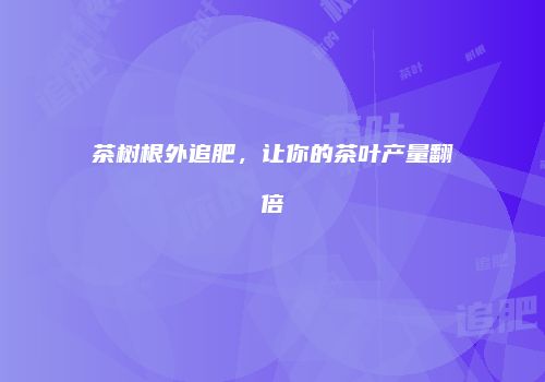 茶树根外追肥，让你的茶叶产量翻倍