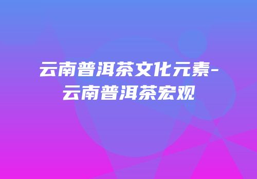 云南普洱茶文化元素-云南普洱茶宏观