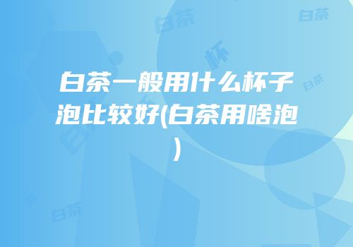白茶一般用什么杯子泡比较好(白茶用啥泡)