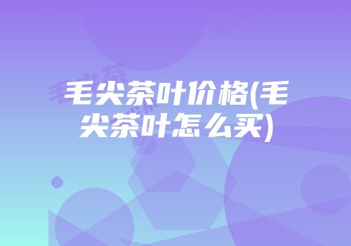 毛尖茶叶价格(毛尖茶叶怎么买)
