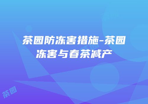 茶园防冻害措施-茶园冻害与春茶减产