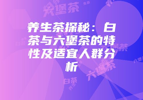 养生茶探秘：白茶与六堡茶的特性及适宜人群分析