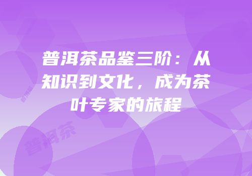 普洱茶品鉴三阶：从知识到文化，成为茶叶专家的旅程