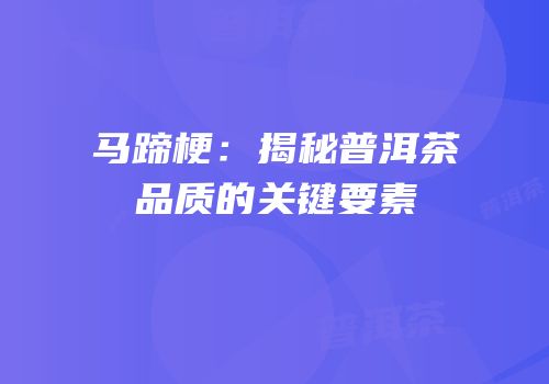 马蹄梗：揭秘普洱茶品质的关键要素