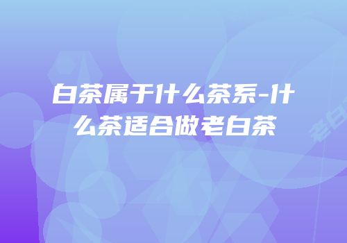 白茶属于什么茶系-什么茶适合做老白茶