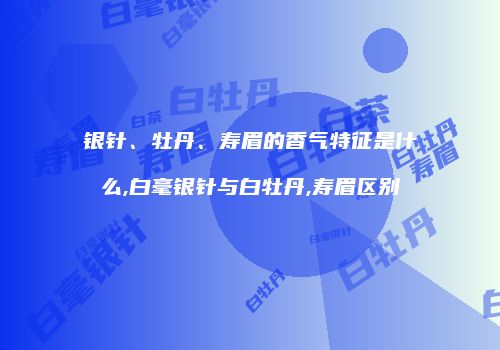 银针、牡丹、寿眉的香气特征是什么,白毫银针与白牡丹,寿眉区别