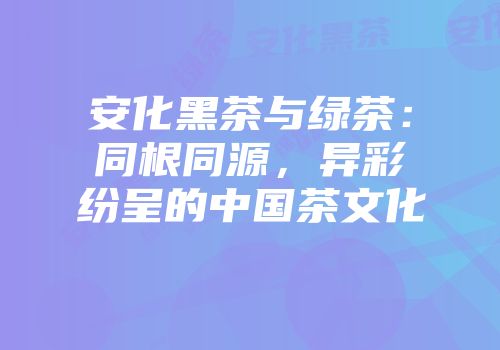 安化黑茶与绿茶：同根同源，异彩纷呈的中国茶文化