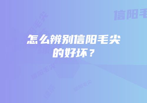 怎么辨别信阳毛尖的好坏？