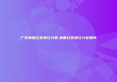 广东英德红茶英红九号,英德红茶英红九号图片