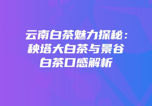 云南白茶魅力探秘：秧塔大白茶与景谷白茶口感解析