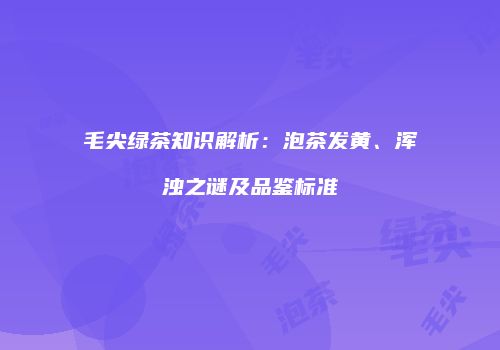 毛尖绿茶知识解析：泡茶发黄、浑浊之谜及品鉴标准