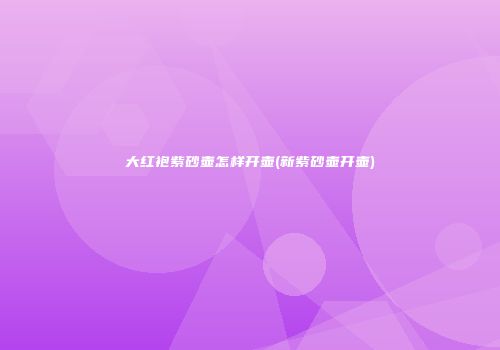 大红袍紫砂壶怎样开壶(新紫砂壶开壶)