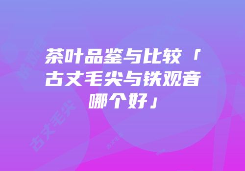 茶叶品鉴与比较「古丈毛尖与铁观音哪个好」