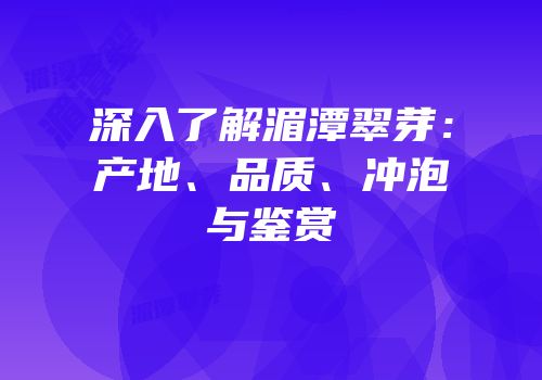 深入了解湄潭翠芽：产地、品质、冲泡与鉴赏