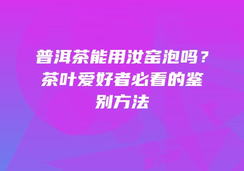 普洱茶能用汝窑泡吗？茶叶爱好者必看的鉴别方法