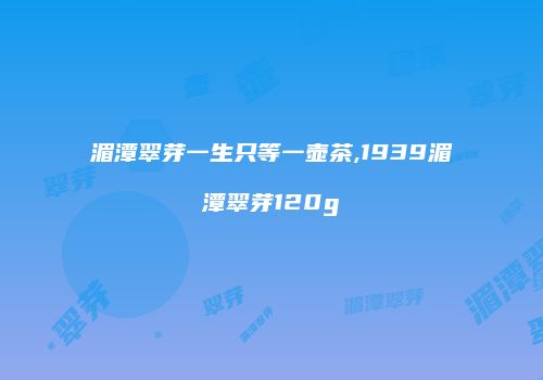 湄潭翠芽一生只等一壶茶,1939湄潭翠芽120g
